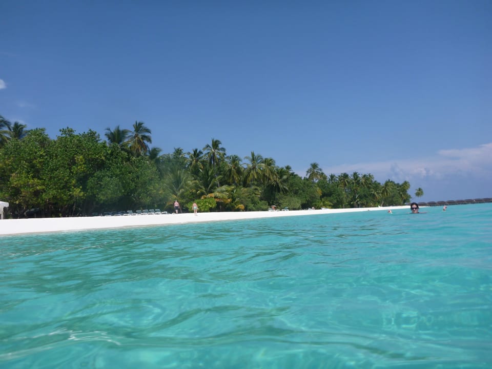 Hotel Meeru Island Resort Meeru Maldives Resort Island