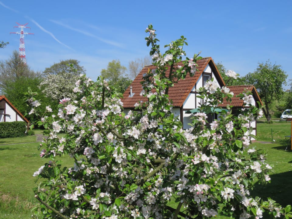 Außenansicht Feriendorf Altes Land