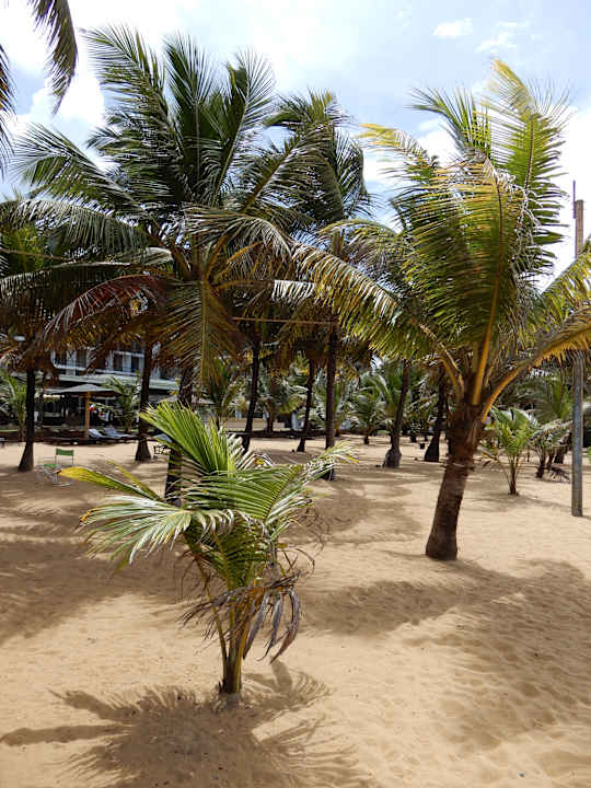 Strand Goldi Sands Hotel