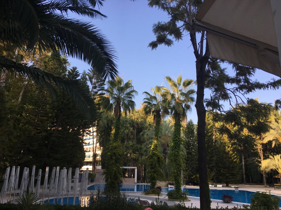 Pool Hotel Botanik Platinum