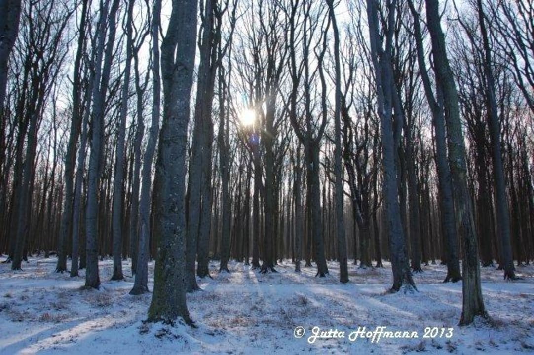 'Gespensterwald Ferienresort Seepferdchen