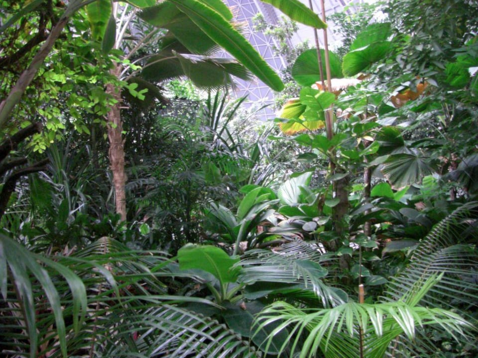 Tropical2 Tropical Islands Resort