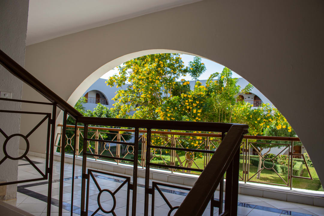 Ausblick Desert Rose