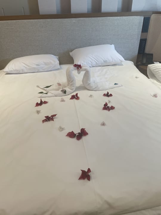 Zimmer Liberty Signa