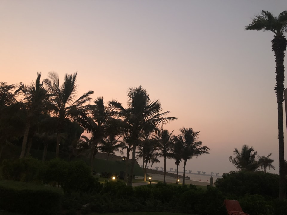 Ausblick JA Palm Tree Court