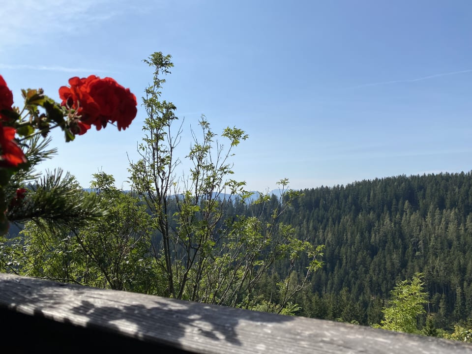 Zimmer Der WILDe EDER