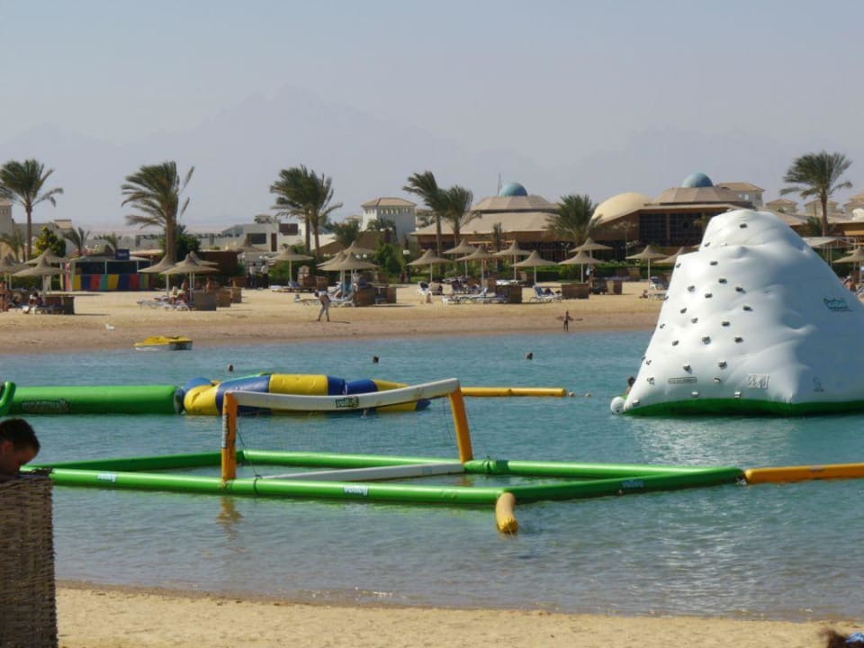 Nur gegen Gebühr Desert Rose