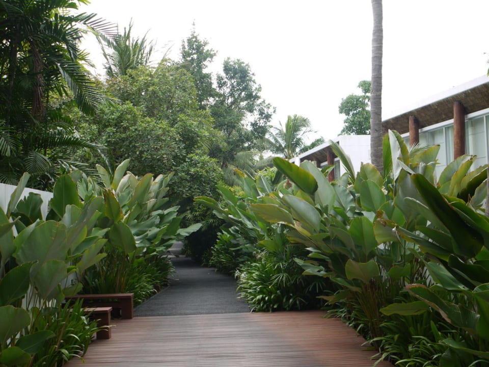 Hotelanlage mit vielen Pflanzen Veranda Resort & Villas Hua Hin Cha Am