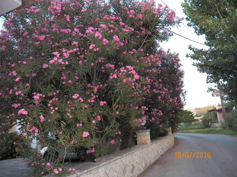 Ulica hotelowa Hotel Zante Village