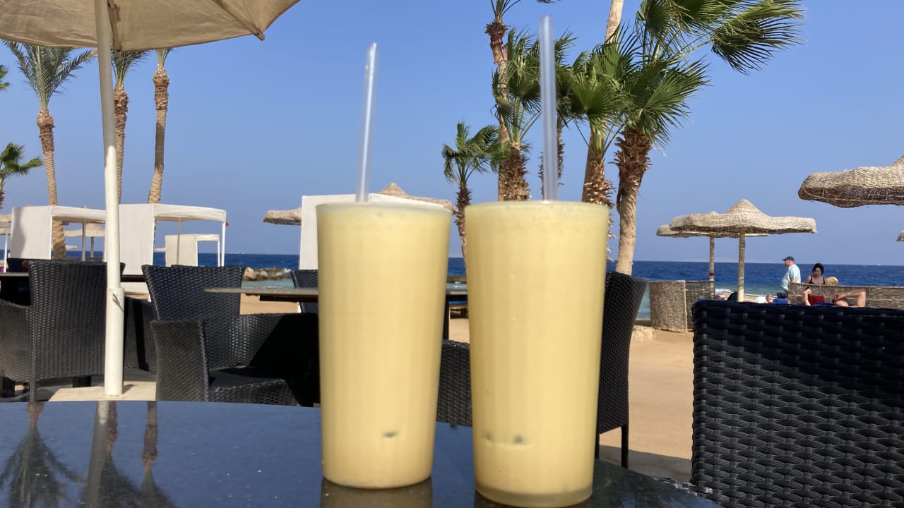 Gastro Pickalbatros Citadel Resort