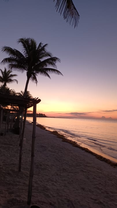 Strand Akumal Bay Beach & Wellness Resort