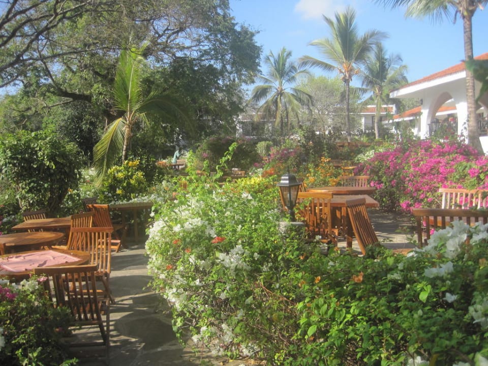 Terrasse Diani Sea Resort