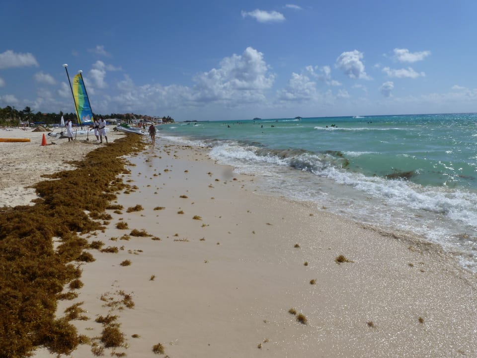 Strand Viva Azteca by Wyndham - All Inclusive Resort