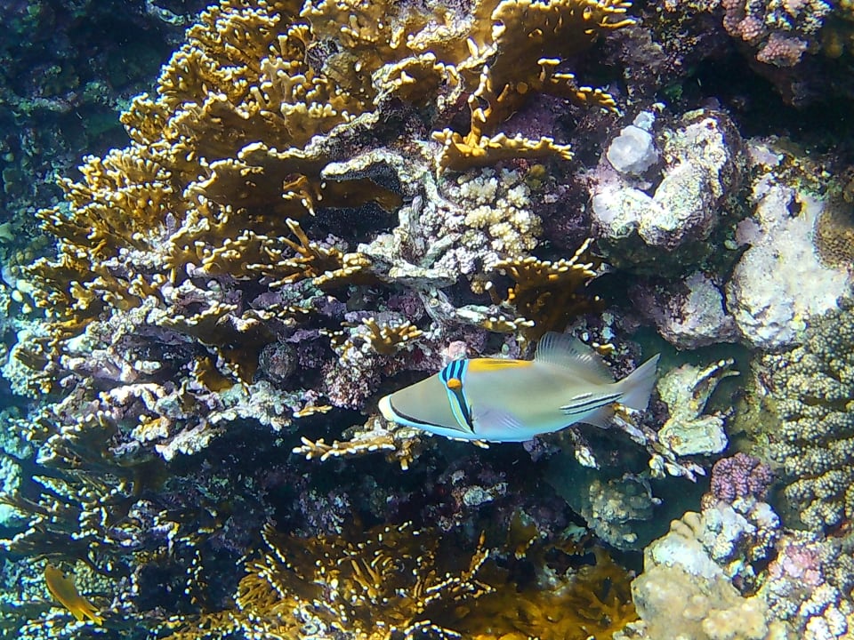 Strand Casa Mare Resort