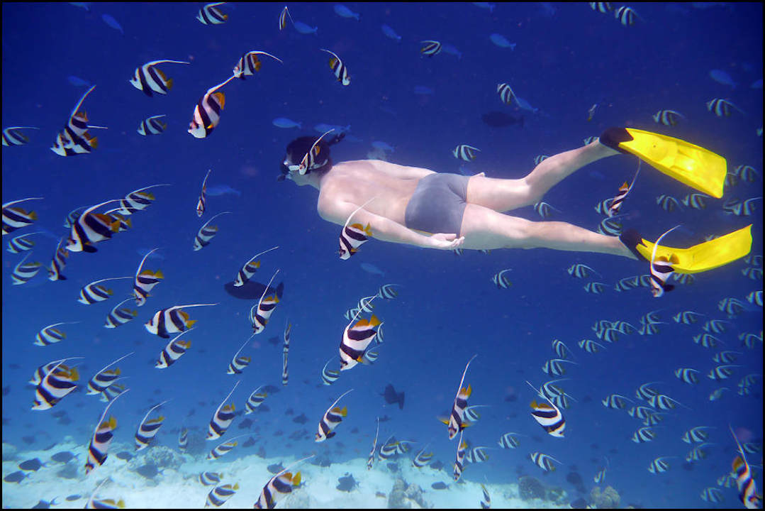 Unterwasserwelt NH Collection Maldives Reethi Resort