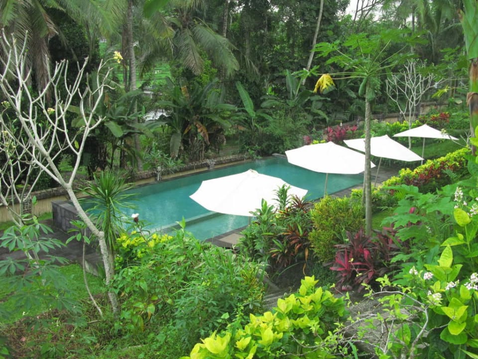 Heavenly pool Hotel Puri Taman Sari