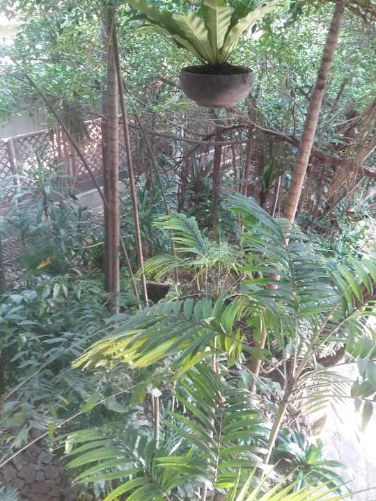 Garden Hotel Felix River Kwai