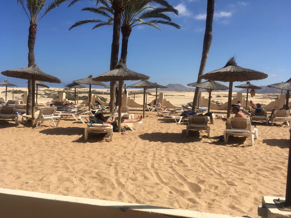 Gartenanlage Hotel Riu Oliva Beach - Hotel