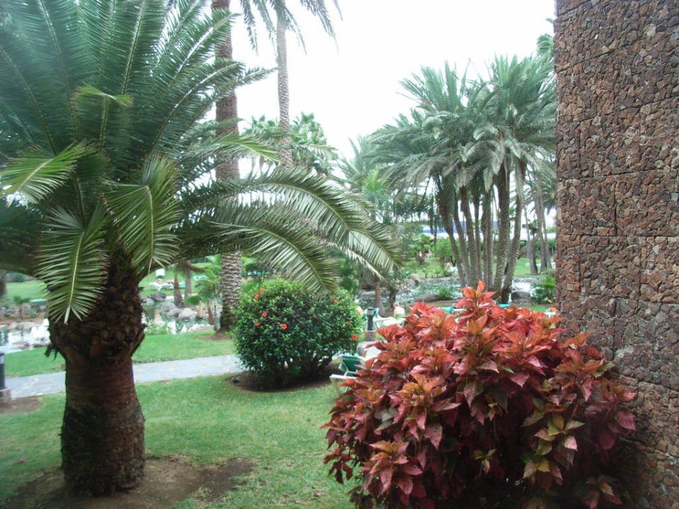 Traumgarten Hotel Riu Palace Oasis