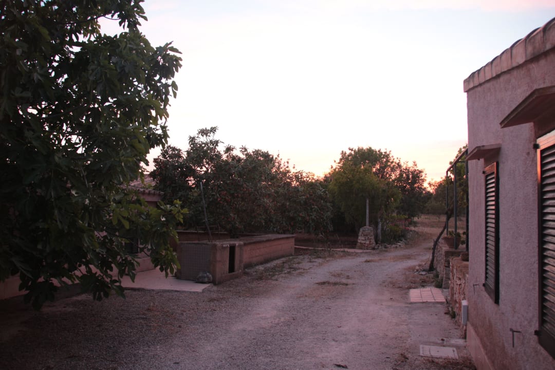 Neben den Zimmer Agroturismo s'Horabaixa