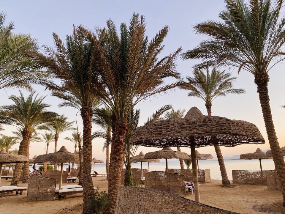 Strand Palm Royale Resort - Soma Bay