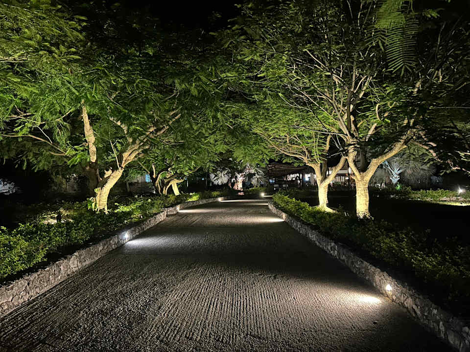 Gartenanlage Karafuu Beach Resort & Spa