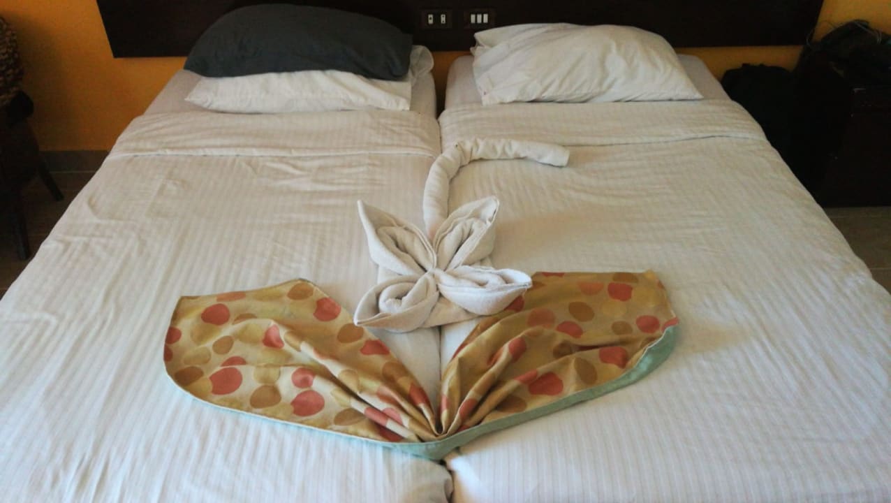 Zimmer Coral Sun Beach