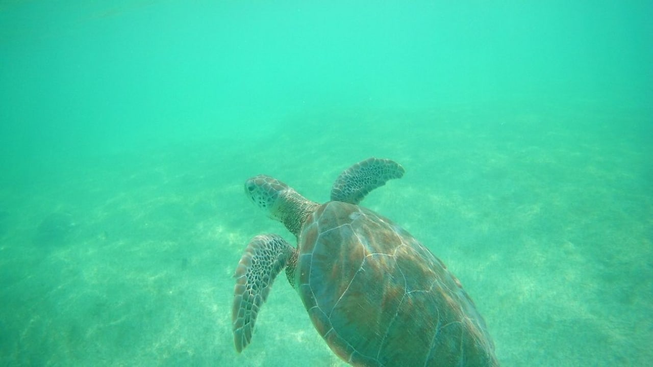 Sport & Freizeit Akumal Bay Beach & Wellness Resort