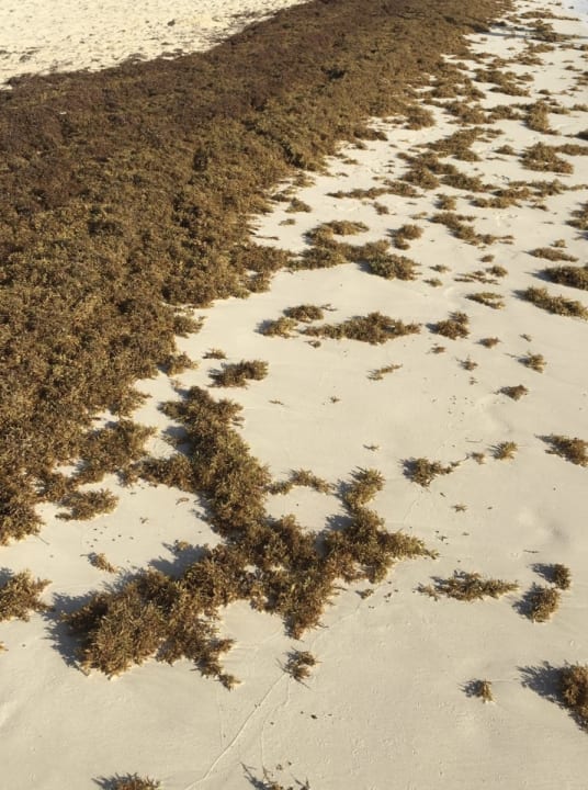 Strand Royalton Bavaro Resort & Spa