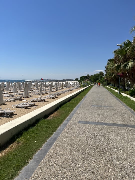 Strand PALOMA Perissia