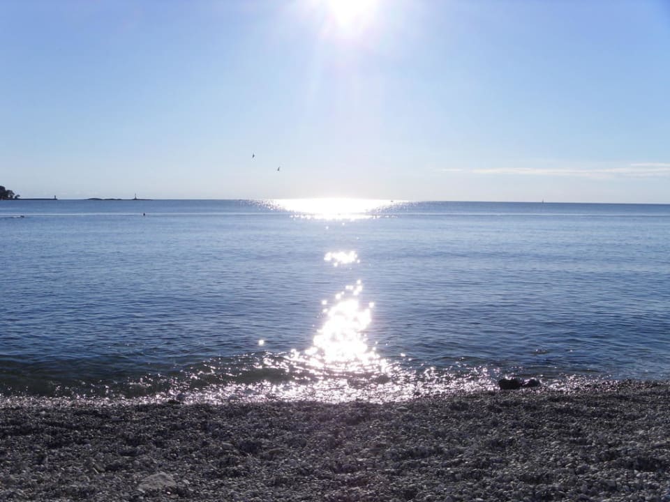 Ca. 17 Uhr Valamar Parentino Hotel