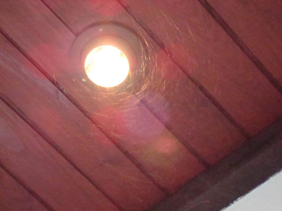 Spinnen sind schützenswerte Wesen Guest House Casal dos Patos