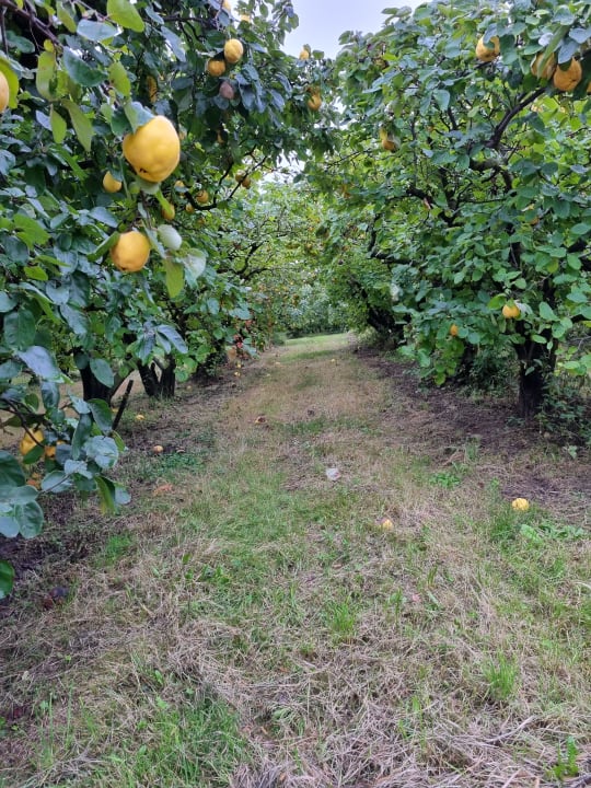 Gartenanlage RETTER Bio-Natur-Resort