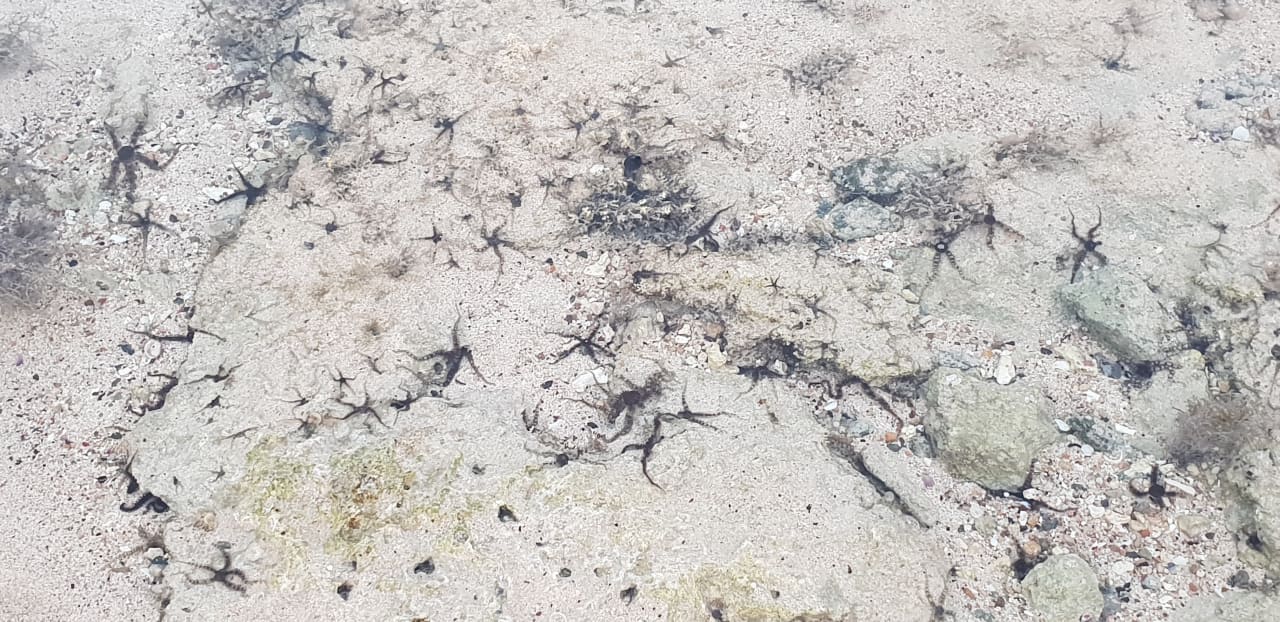 Strand Three Corners Sea Beach Resort