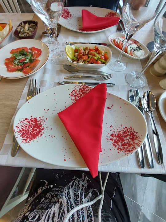 Gastro Seashell Vega