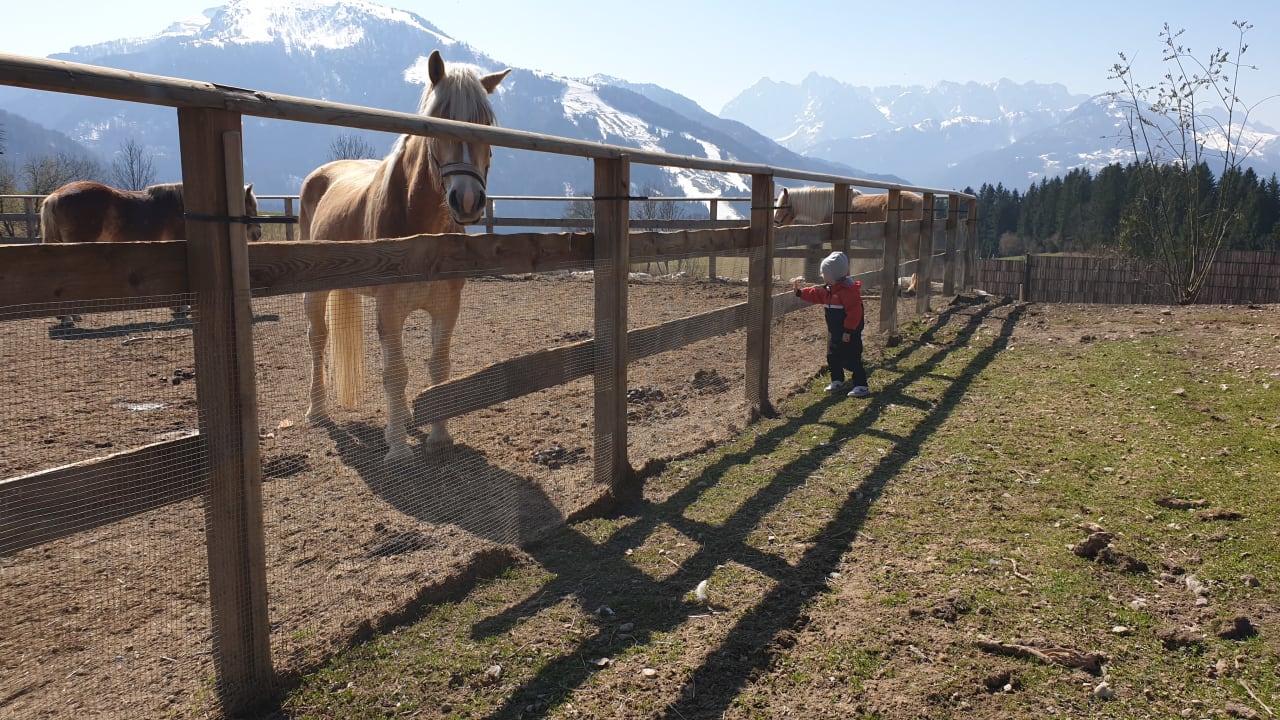 Sport & Freizeit Wohlfühlresort Peternhof