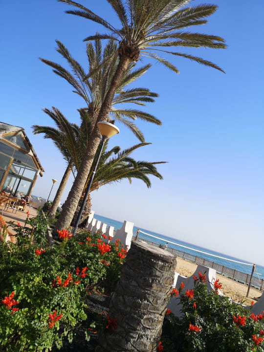 Ausblick SBH Costa Calma Beach Resort