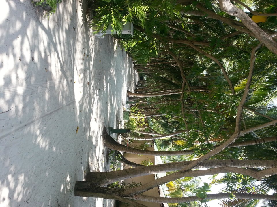 Blick über die Hauptstraße Summer Island Maldives