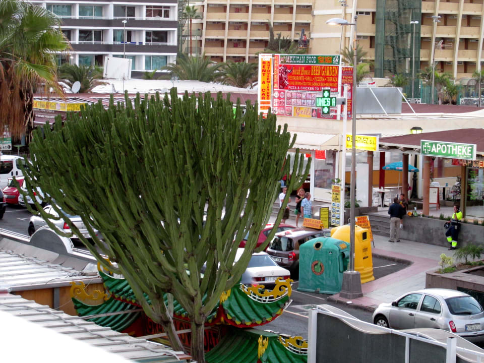 Vom Balkon zur Landseite LABRANDA Marieta - Adults only