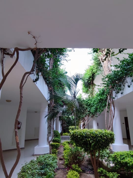 Gartenanlage Fantazia Resort Marsa Alam