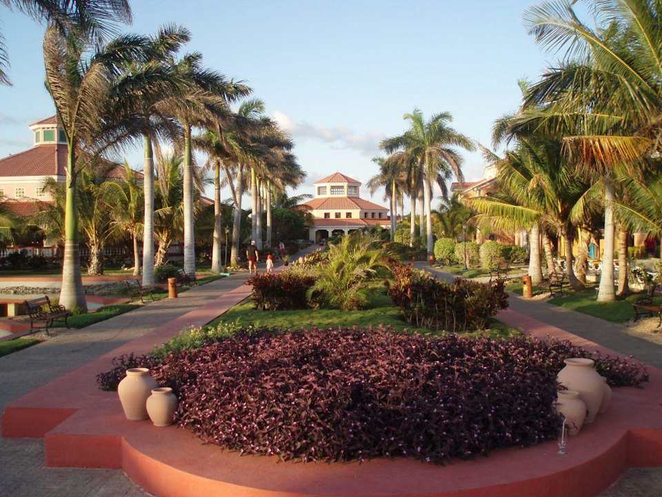Außenanlage Hotel Iberostar Origin Playa Alameda
