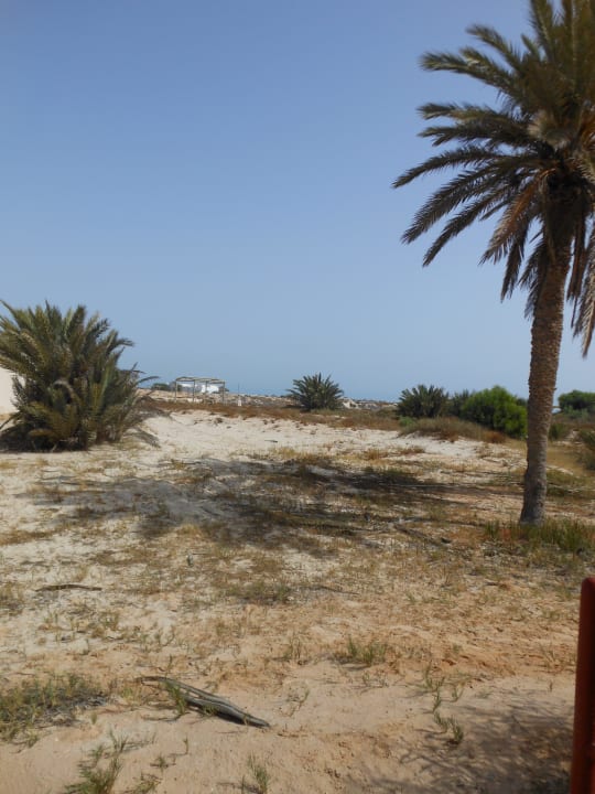 Weg zum Strand  500 m Djerba Aqua Resort