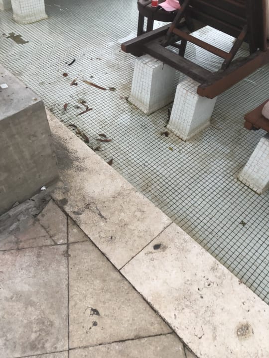 Pool Ghazala Gardens