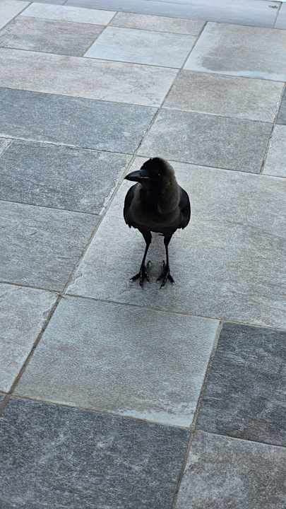 Sonstiges Hotel Riu Palace Zanzibar
