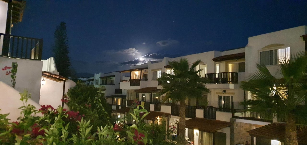 Gartenanlage Alexander Beach Hotel & Village Resort