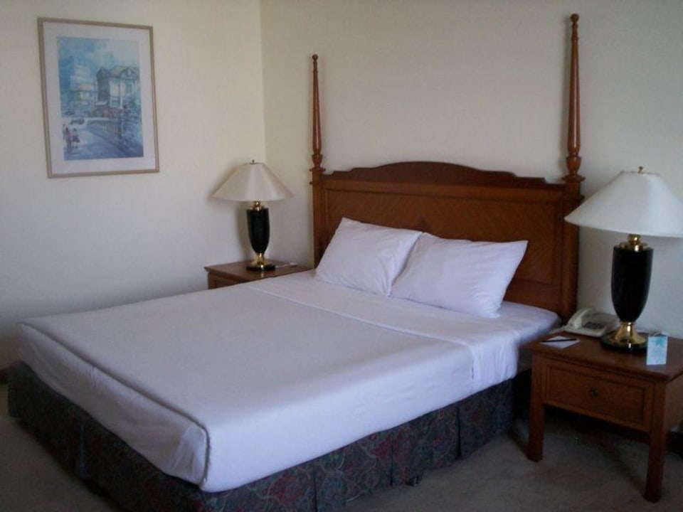 Zimmer Hotel Century Park