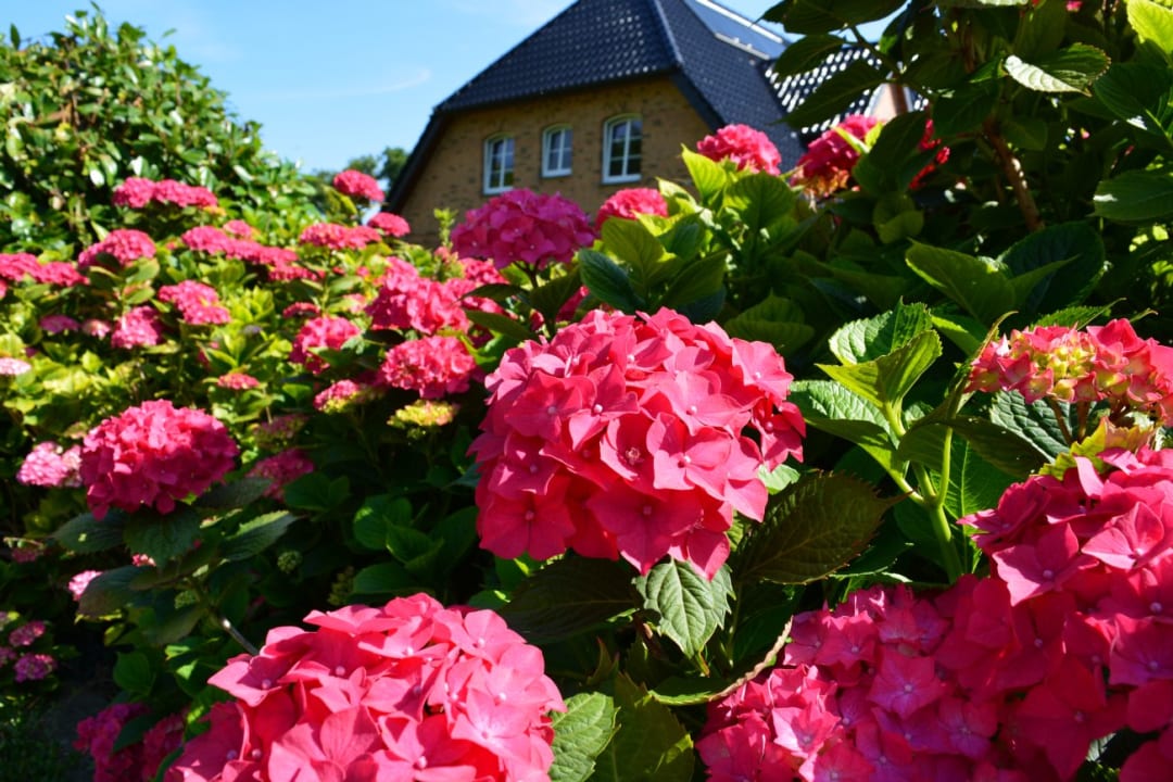 Gartenanlage Ferienbauernhof Liesenberg mit Meerblick