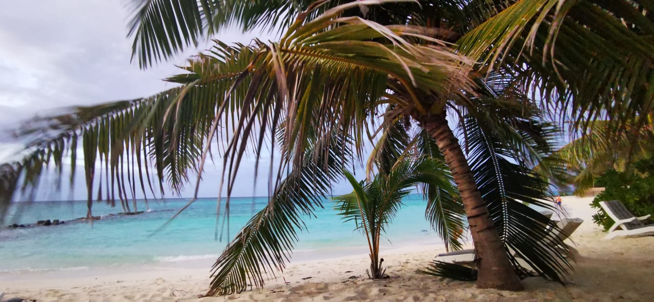 Strand Summer Island Maldives