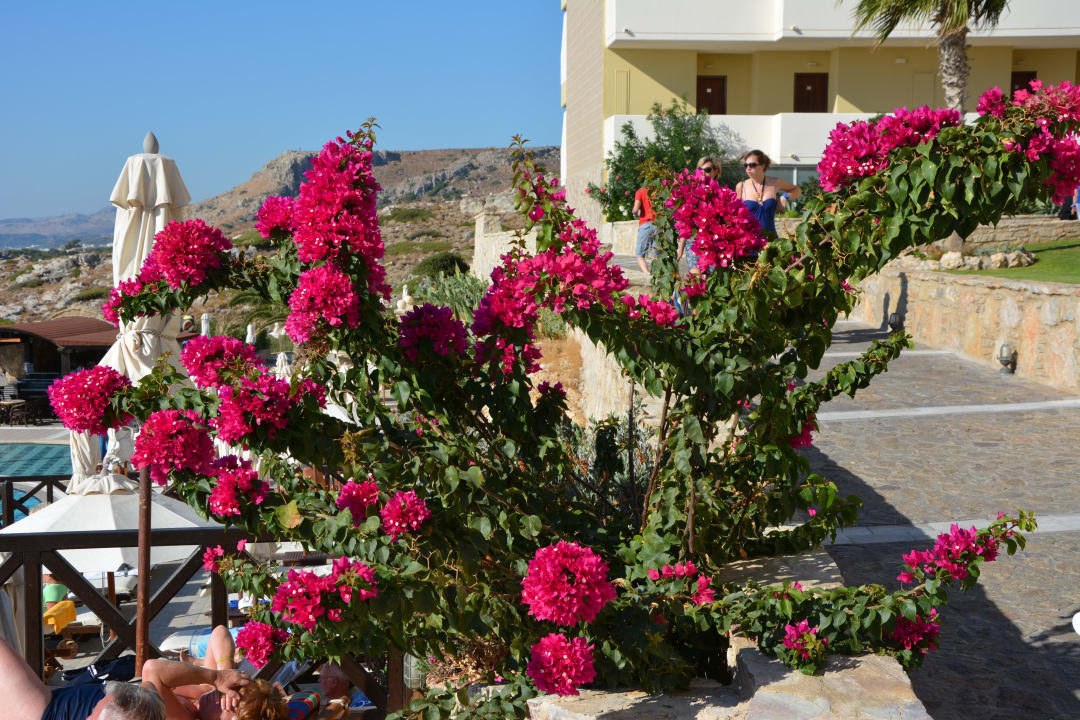 Kalithea Horizon Royal Hotel Kalithea Horizon Royal