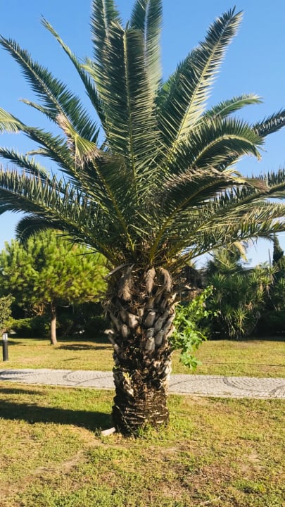 Ausblick Castival Hotel